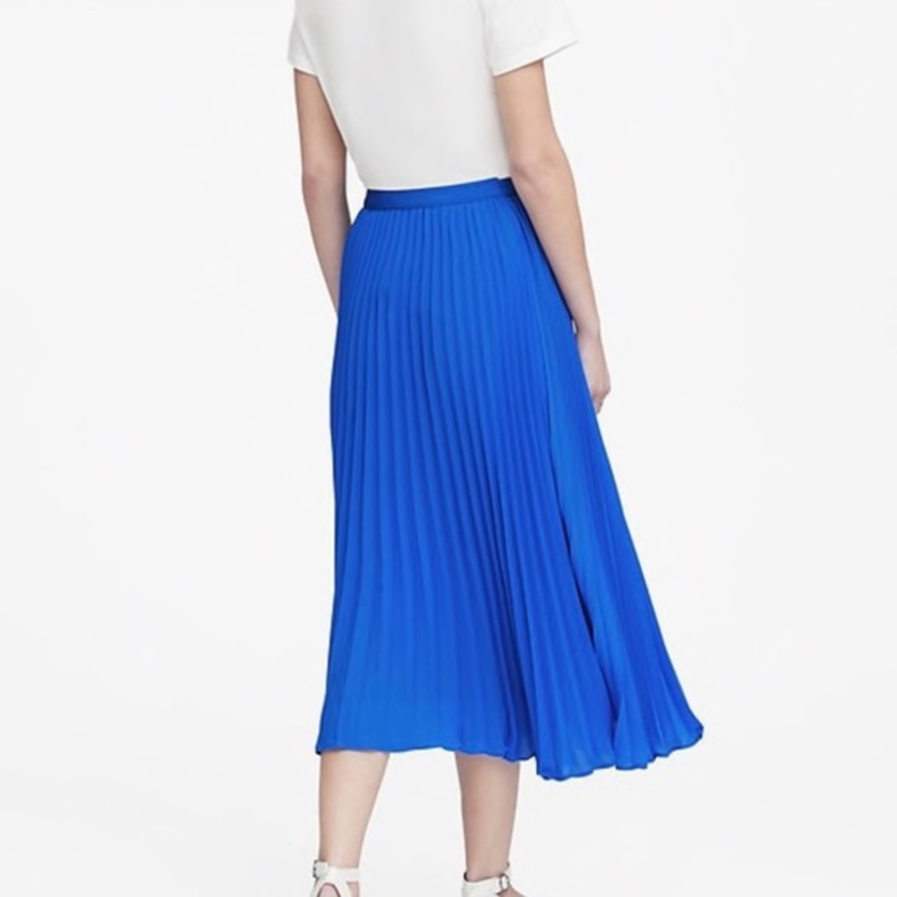 Pleated Skirt